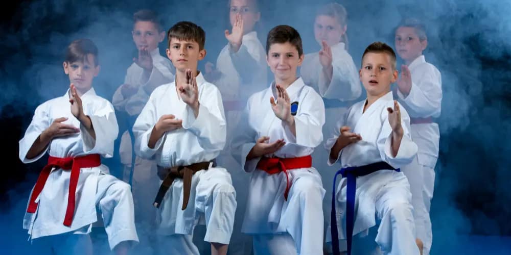 8 Differences Of jiu jitsu vs karate, Guide BJJ vs Karate